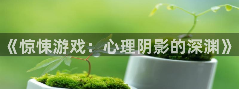  《惊悚游戏：心理阴影的深渊》