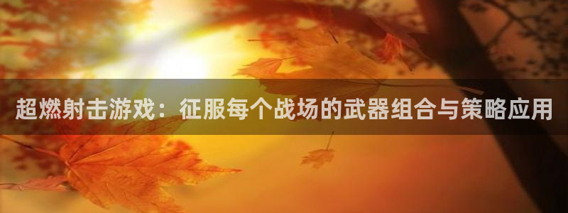 超燃射击游戏：征服每个战场的武器组合与策略应用