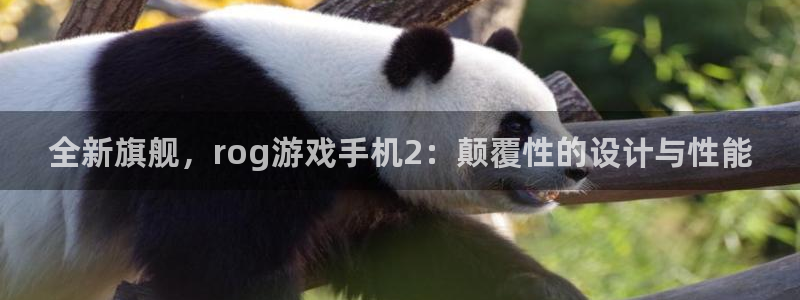  完美电竞从哪改实名：全新旗舰，rog游戏手机2：颠覆性的设计