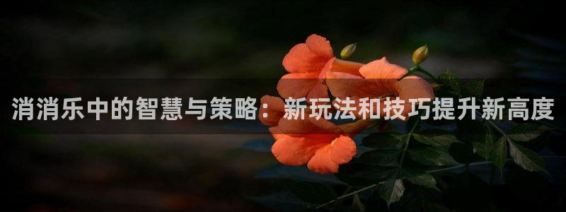  完美电竞登录：消消乐中的智慧与策略：新玩法和技巧提升新高度